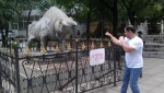 Китай 2013 / Парк городского округа Синтай: Экскурсия по парку