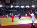 IX Фестиваль восточных единоборств и боевых искусств Узбекистана: На выступлении